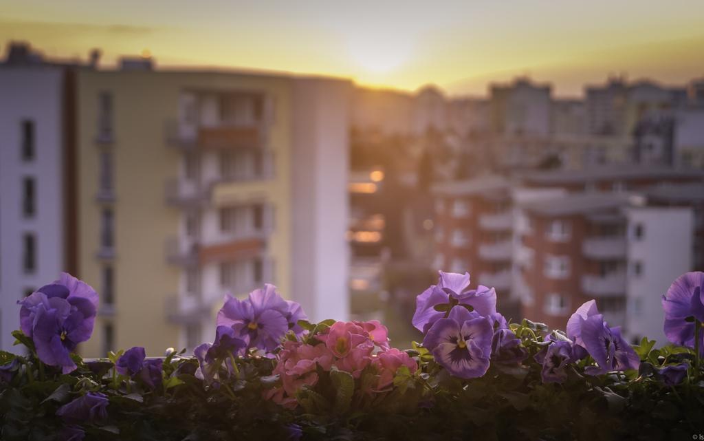 פראג A Nice Place To Stay Apartments חדר תמונה